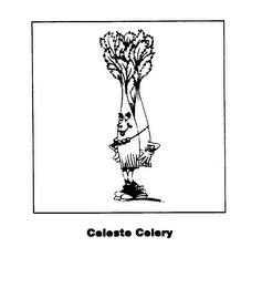 CELESTE CELERY