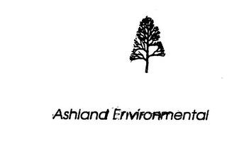 ASHLAND ENVIRONMENTAL