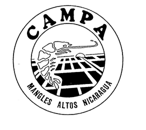 CAMPA MANGLES ALTOS NICARAGUA