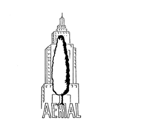 AERIAL