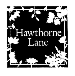 HAWTHORNE LANE