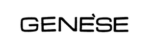 GENESE