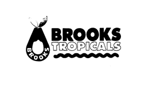 BROOKS TROPICALS BROOKS