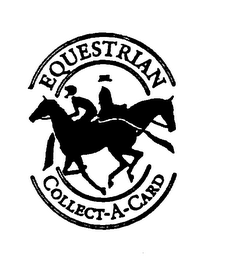 EQUESTRIAN COLLECT-A-CARD