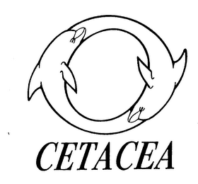 CETACEA