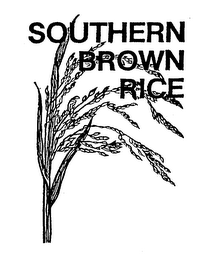 SOUTHERN BROWN RICE