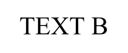 TEXT B