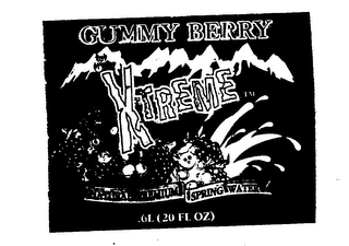 GUMMY BERRY HIGH MOUNTAIN XTREME NATURAL PREMIUM SPRING WATER