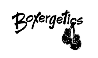 BOXERGETICS