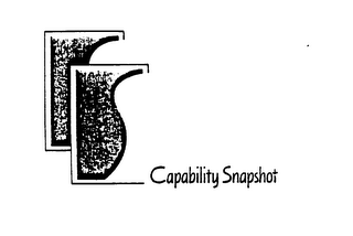 CAPABILITY SNAPSHOT