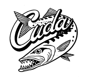 CUDA
