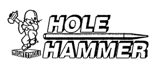 HOLE HAMMER