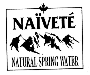 NAIVETE NATURAL SPRING WATER