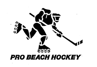 PRO BEACH HOCKEY