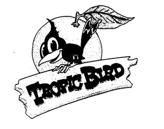 TROPIC BIRD
