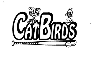 CATBIRDS