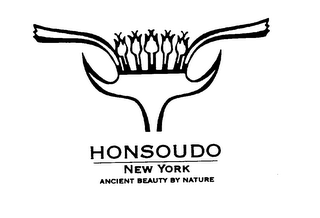 HONSOUDO NEW YORK ANCIENT BEAUTY BY NATURE