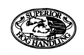 CHICAGO, ILL. SUPERIOR HOG HANDLING