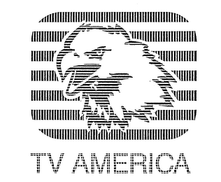 TV AMERICA