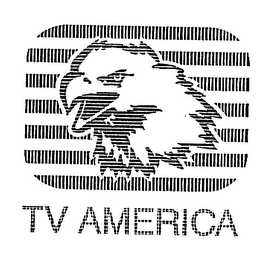 TV AMERICA