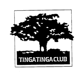 TINGA TINGA CLUB