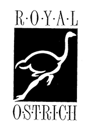 ROYAL OSTRICH