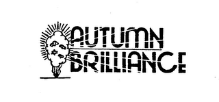 AUTUMN BRILLIANCE