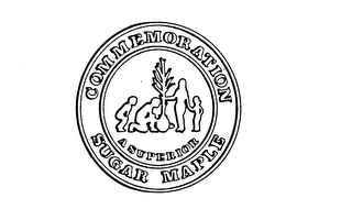 A SUPERIOR COMMEMORATION SUGAR MAPLE