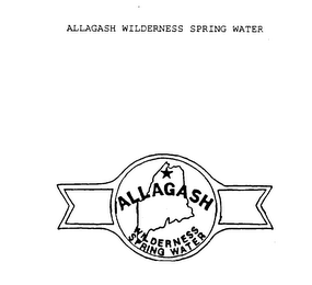 ALLAGASH WILDERNESS SPRING WATER