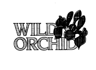 WILD ORCHID