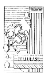 BIORAPID CELLULASE