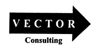 VECTOR CONSULTING