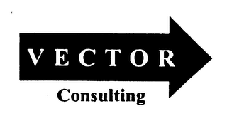 VECTOR CONSULTING