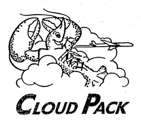 CLOUD PACK