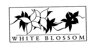 WHITE BLOSSOM