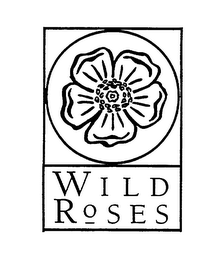 WILD ROSES