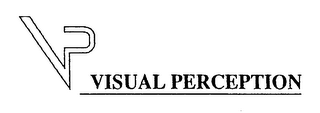VISUAL PERCEPTION