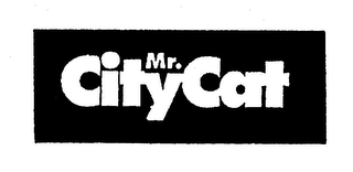 MR. CITY CAT