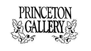 PRINCETON GALLERY