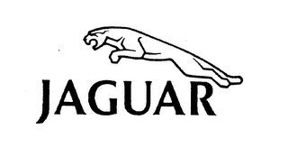 JAGUAR