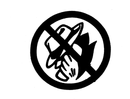 CELLULAR SERVICES GROUP, INC.