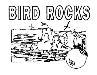 BIRD ROCKS