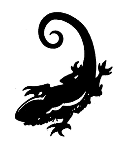 SOUTH BEACH BEVERAGE COMPANY, INC., THE