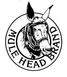 MULE HEAD BRAND