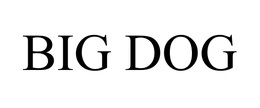 BIG DOG