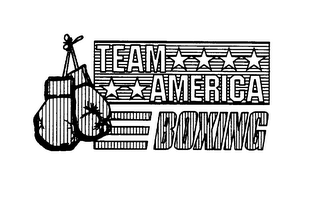 TEAM AMERICA BOXING