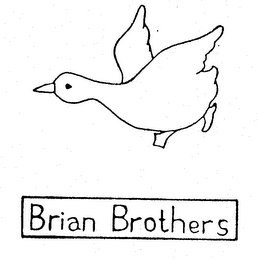 BRIAN BROTHERS