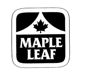 MAPLE LEAF