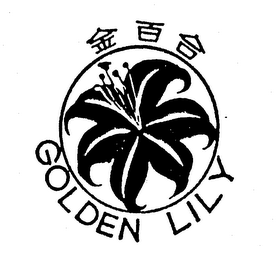 GOLDEN LILY