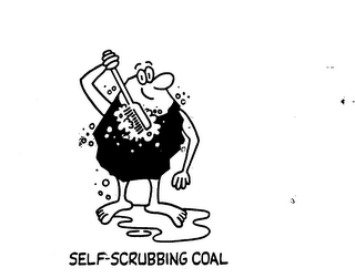 SELF-SCRUBBING COAL